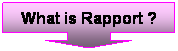Rapport Short-listed for Business Satisfaction Software Award